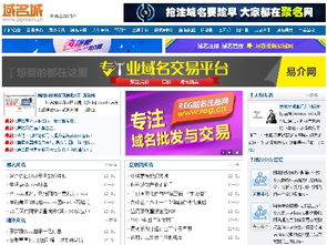 換個(gè)域名，竟如換棟別墅？互聯(lián)網(wǎng)域名注冊(cè)服務(wù)的價(jià)值與策略