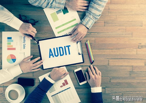 企業(yè)審計(jì)是什么